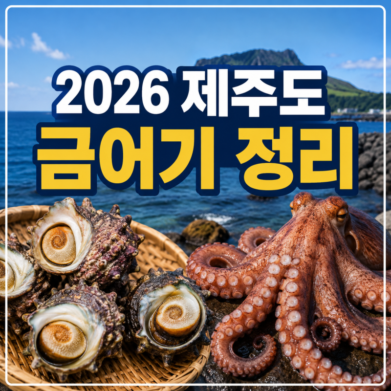 "제주도 여행 중 문어, 뿔소라 잘못 주웠다가 100만원 벌금 폭탄?" 2026년 금어기 정리