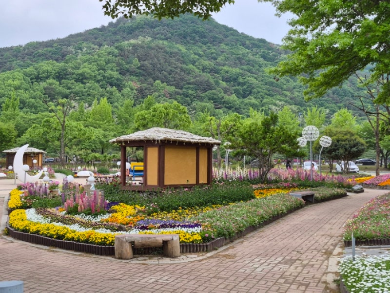 위염·역류성 식도염을 악화시키는 숨은 음식 vs 속을 달래주는 음식