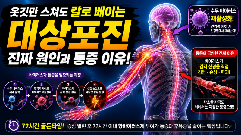 대상포진 원인과 스치기만 해도 극심한 통증이 발생하는 진짜 이유