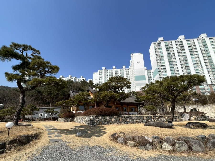 단안 사진 1