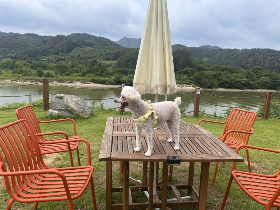 강변 사진 5