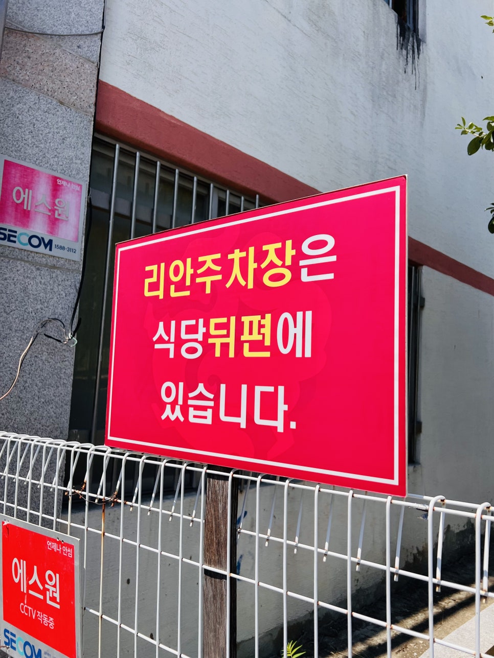 리안 사진 4