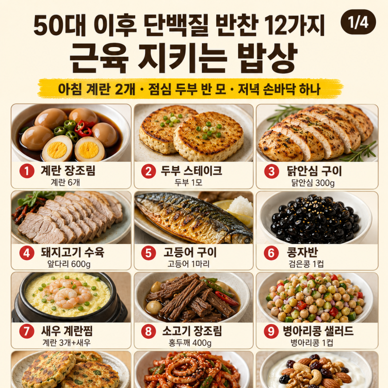 50대 이후 단백질 반찬 12가지, 근육 지키는 밥상