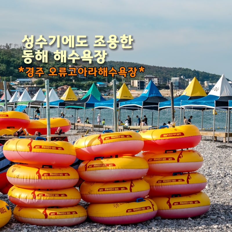 동해바다 조용한 해수욕장 경주 오류고아라해변