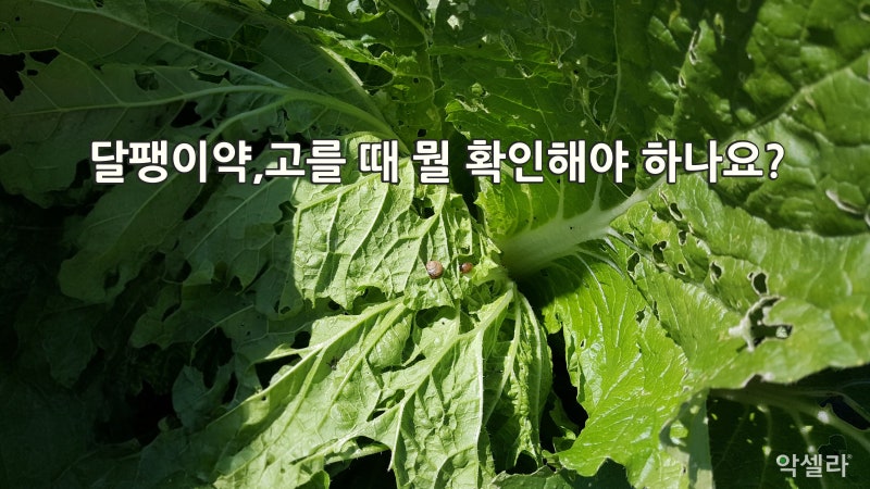 1-3 달팽이약, 고를 때 뭘 확인해야 할까요?