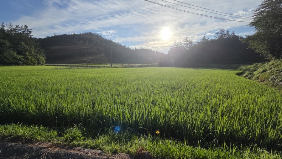 케이찹사라다 화순점 사진 1