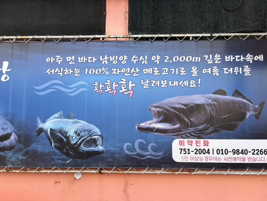 채색 사진 2