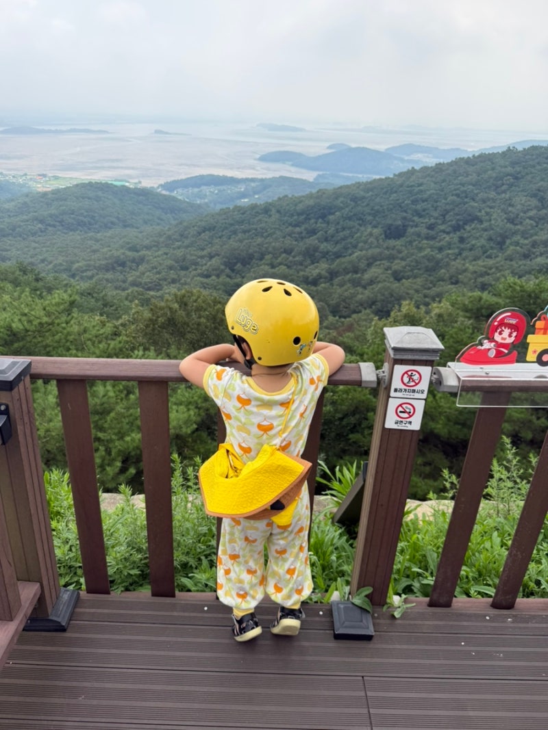 [인천 강화] 강화도 당일치기 | 루지타고 계곡까지 여름 제대로 즐기기