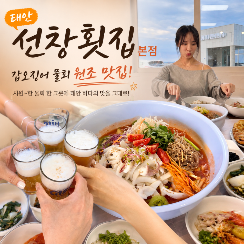 태안 현지인 점심맛집 갑오징어물회 원조 선창횟집 본점 추천