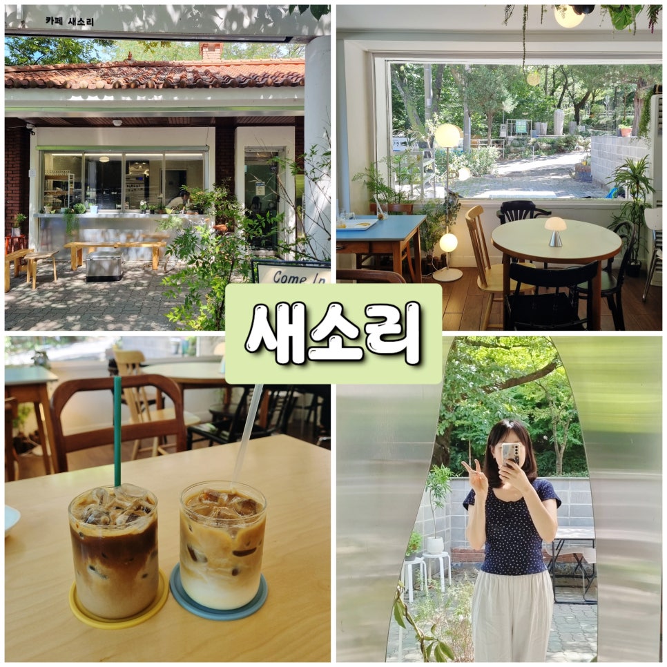 카페 새소리 사진 1