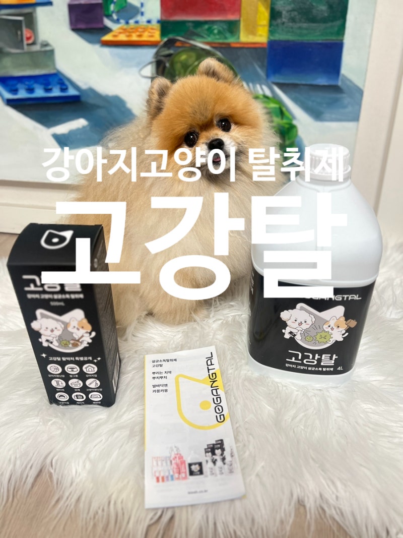 재구매만 N번째 강력추천하는 강아지 고양이 살균소독탈취제 고강탈