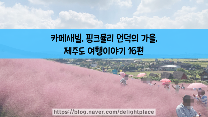 카페새빌. 핑크뮬리 언덕의 가을.제주도 여행이야기 16편
