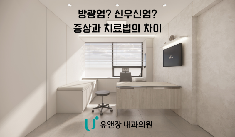 방광염과 신우신염 차이점은? 증상, 치료, 항생제까지 쉽게 알려드립니다