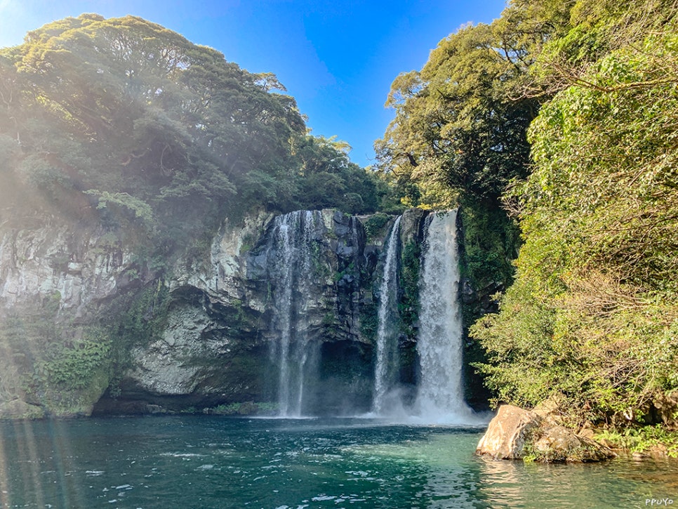 파크선샤인제주 사진 5