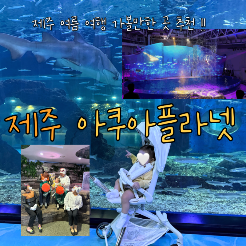 제주여행 4일차 (1) 제주아쿠아플라넷 아기랑 제주 가볼만한 곳 제주여행 제주 아쿠아리움