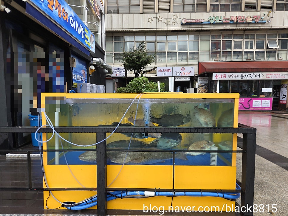 속초오징어어시장 발산점 사진 4