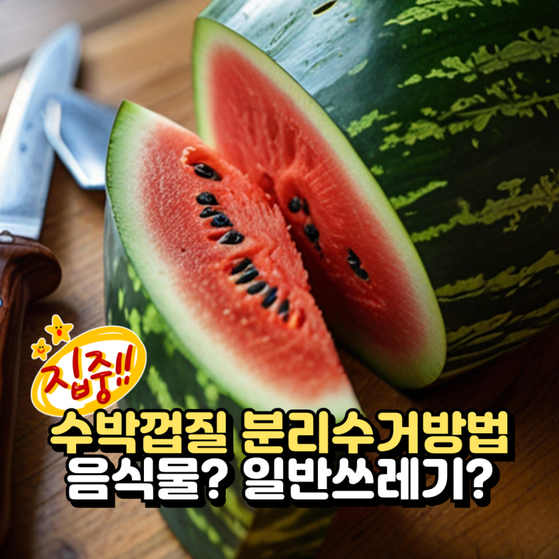 수박껍질 분리수거 방법, 음식물쓰레기로 버리기 전 확인하세요