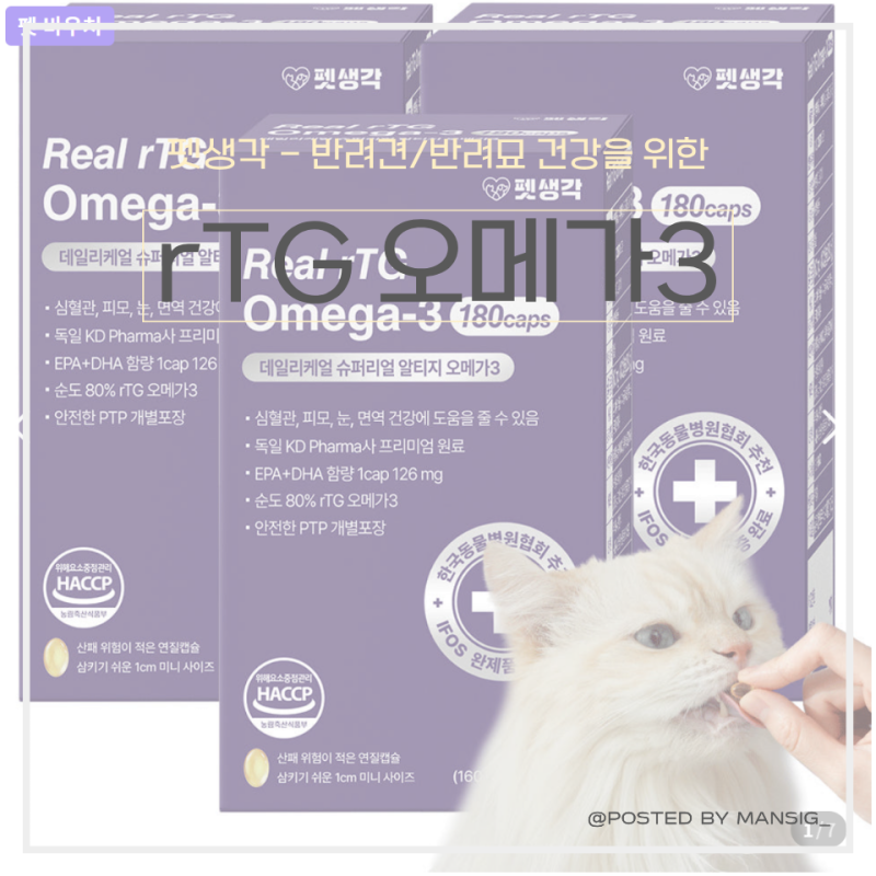 [고양이 영양제] 10세 노령묘 신장 관리, 고양이 오메가3 펫생각 오메가3 급여 후기(내돈내산, ....