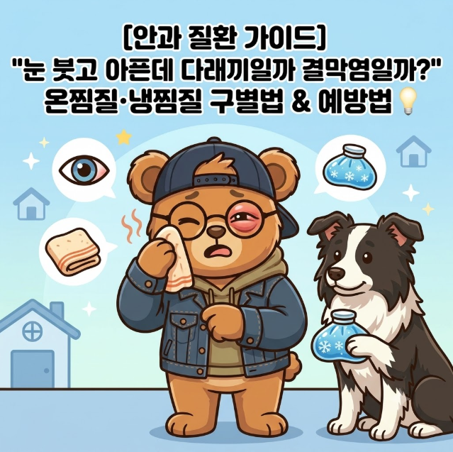 [안과 질환 가이드] "눈 붓고 아픈데 다래끼일까 결막염일까?" 온찜질·냉찜질 구별법 & 예방....