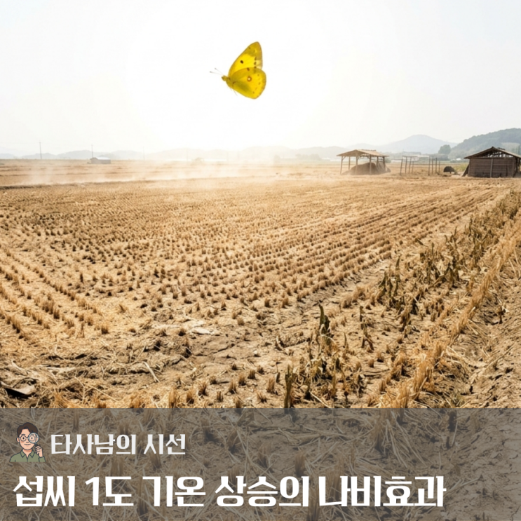 "경남 <b>양산</b> 42.5도, 122년 만의 사상 초유 폭염"··· 기온이 0.... 