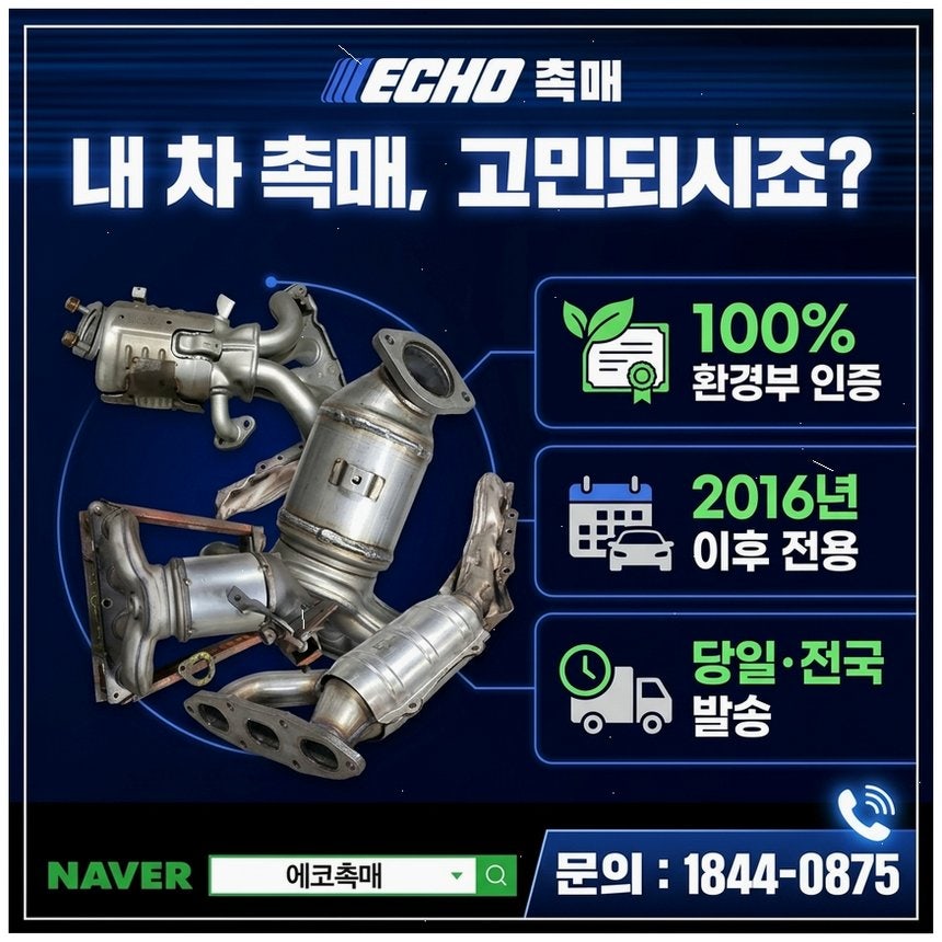 봄 사진 5