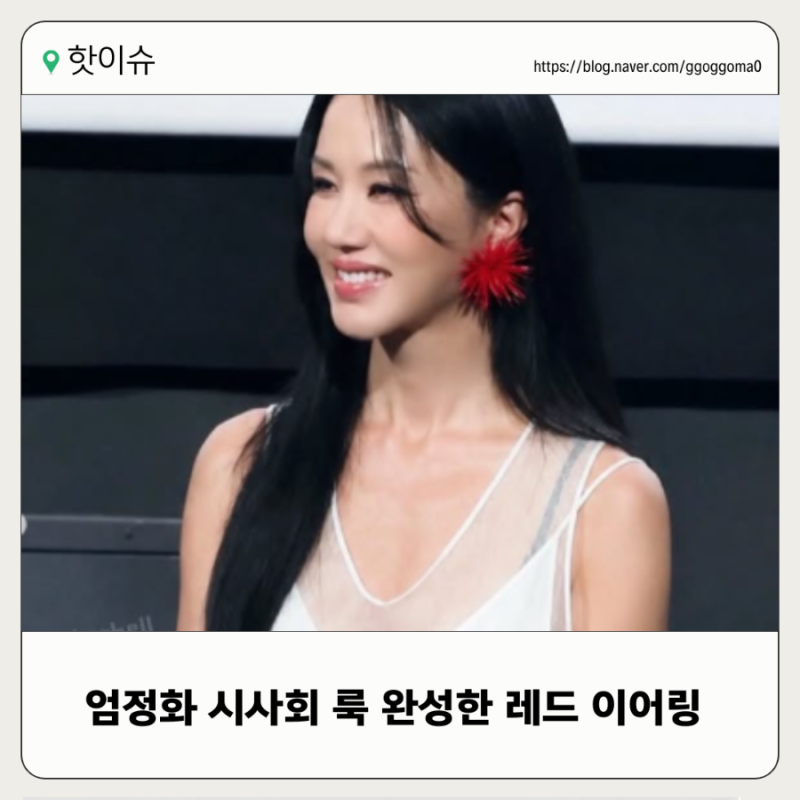 Kim Go-eun vs. Uhm Jung-hwa: The Divided Opinions on the Sea Urchin Earrings, Why the Same Chanel Looked Different