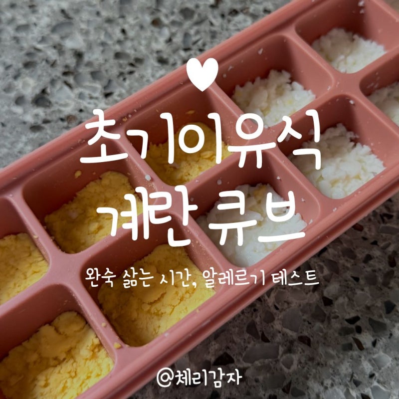 초기 이유식 계란 큐브 만들기｜노른자부터 먹이기, 삶는 시간