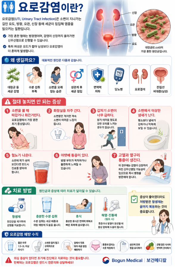 소변 볼 때 따갑다면? 요로감염 증상과 원인, 병원에 꼭 가야 하는 신호 총정리