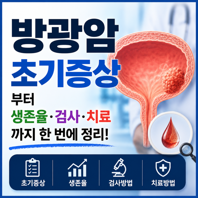 방광암 초기증상부터 생존율·검사·치료까지 한 번에 정리