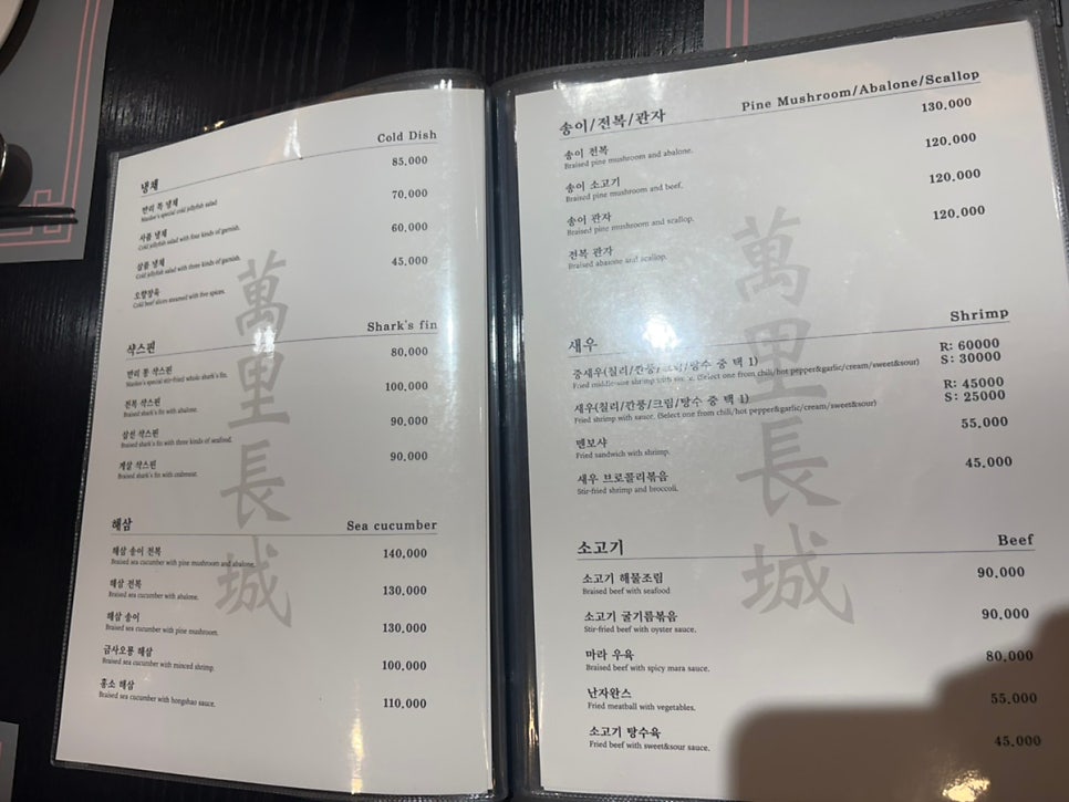 만리장성2 사진 4