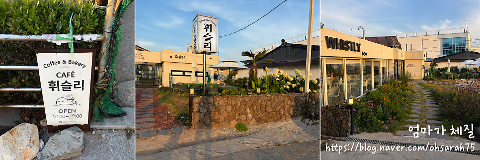 휘슬리 사진 3