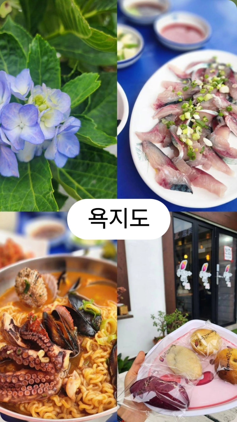 욕지도 1박 2일 여행코스 총정리｜청보리 오토캠핑장, 고메도넛, 고구마빵, 스노클링 꿀팁까....