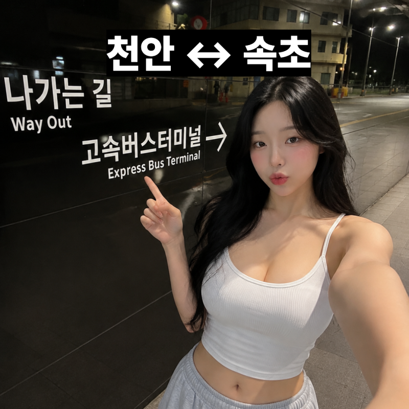 속초에서 천안 가는 고속버스 시간표｜막차·요금·프리미엄 우등 총정리
