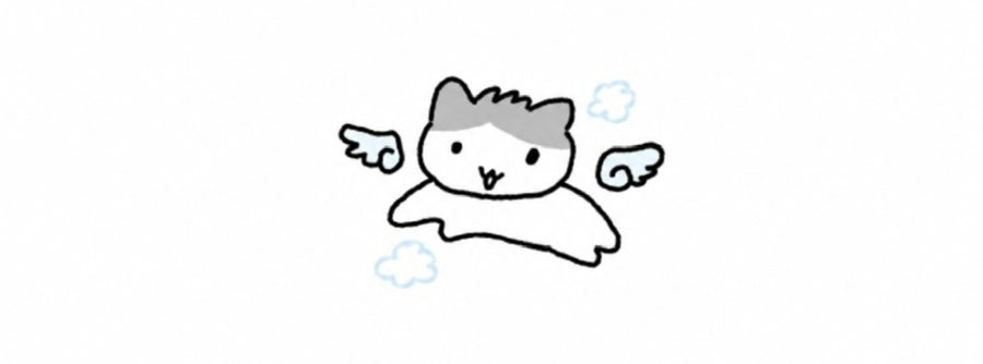 이안애민박 사진 2