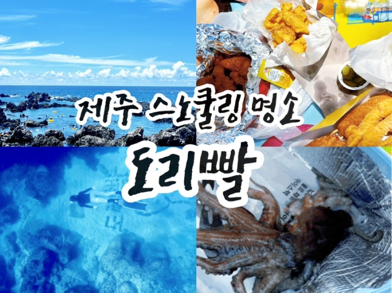 [제주 - 중문] 스노클링 명소 도리빨 후기｜물때, 주차, 프리다이빙 총정리