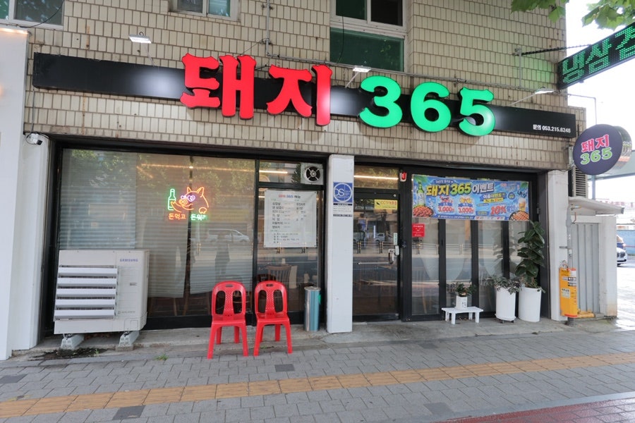 돼지365 사진 1