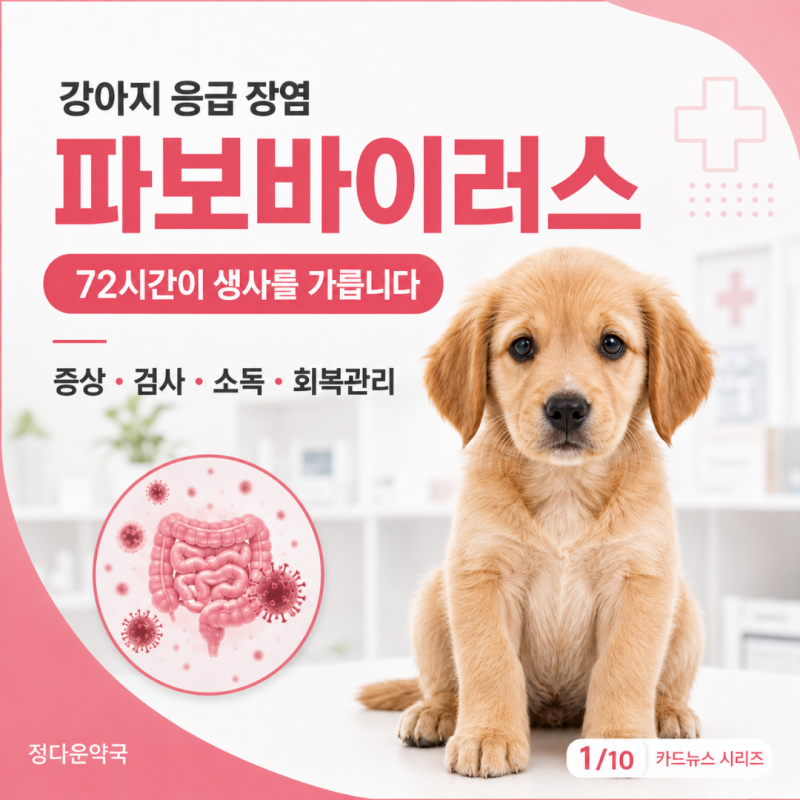 강아지 파보바이러스,왜 72시간이 생사를 가를까 — 증상·검사·소독 완전정리