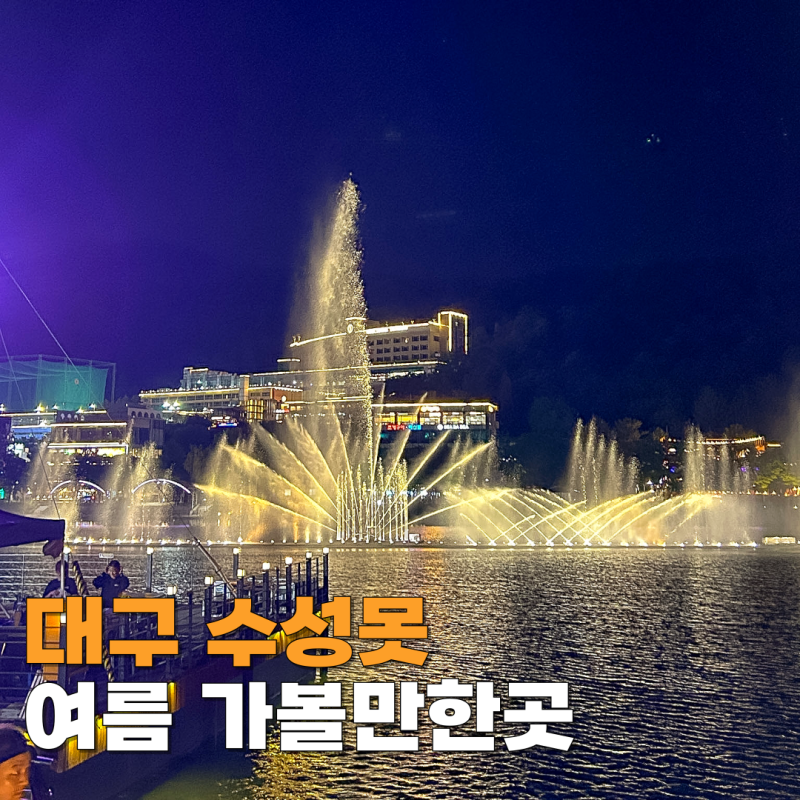대구 수성못 분수쇼 콘서트 시간 일정 여름 가볼만한곳