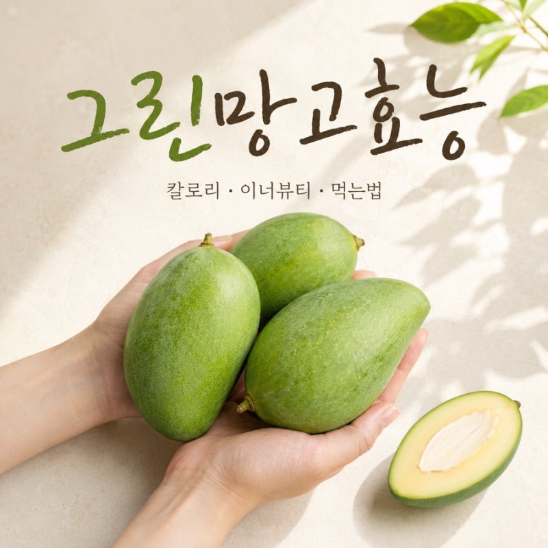 그린망고효능 총정리｜칼로리부터 이너뷰티, 먹는법·부작용까지