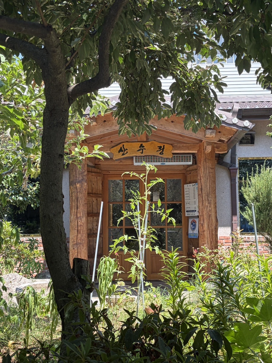 산수정 사진 1