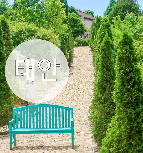 Taean Travel: Taean Farm Kamille Hydrangea Festival, a Great Place to Visit in Summer