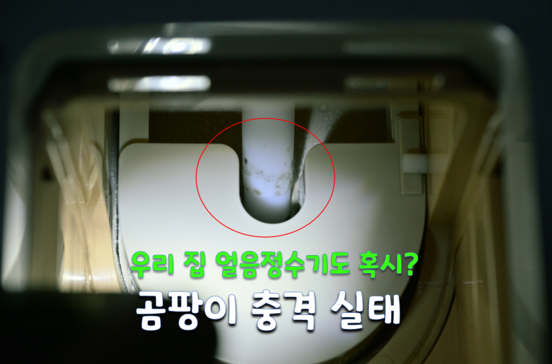 얼음정수기 곰팡이 제거 우리 집 얼음정수기도 곰팡이 천국?
