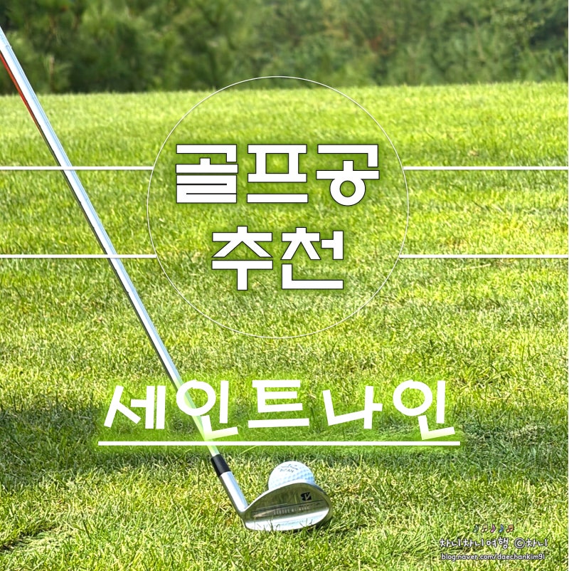 3피스골프공 추천 세인트나인 부산 시티에디션, 골프선물로도 좋아요