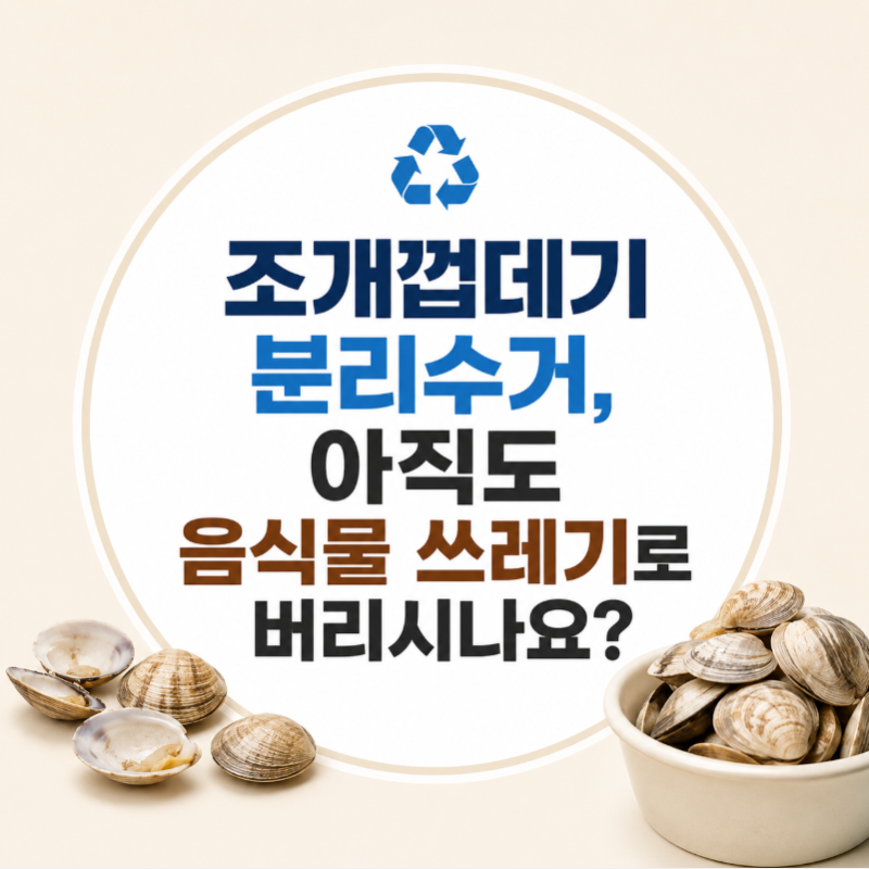 조개껍데기 분리수거, 아직도 음식물 쓰레기로 버리시나요?
