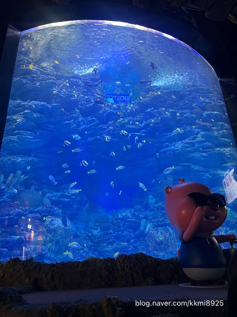 4개월아기랑 부산 가볼만한곳_씨라이프부산아쿠아리움_아르떼뮤지엄부산_깡통시장