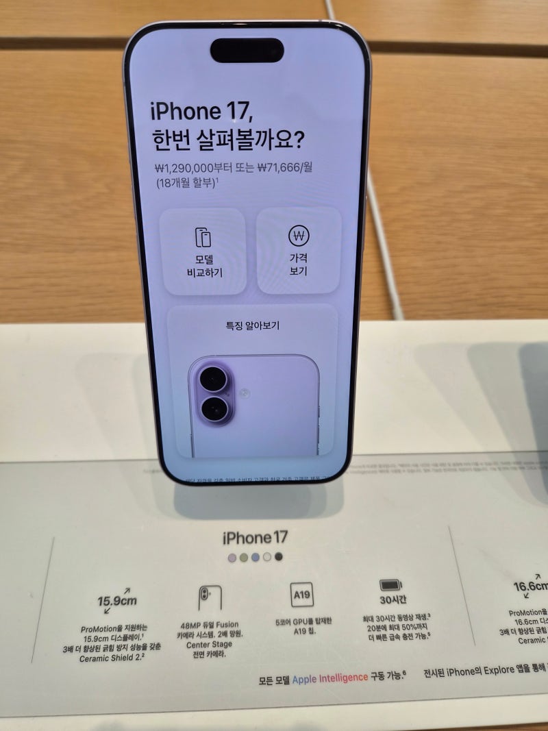 아이폰 17 가격 스펙 총정리, 실물로 본 라벤더 색상과 카메라 후기