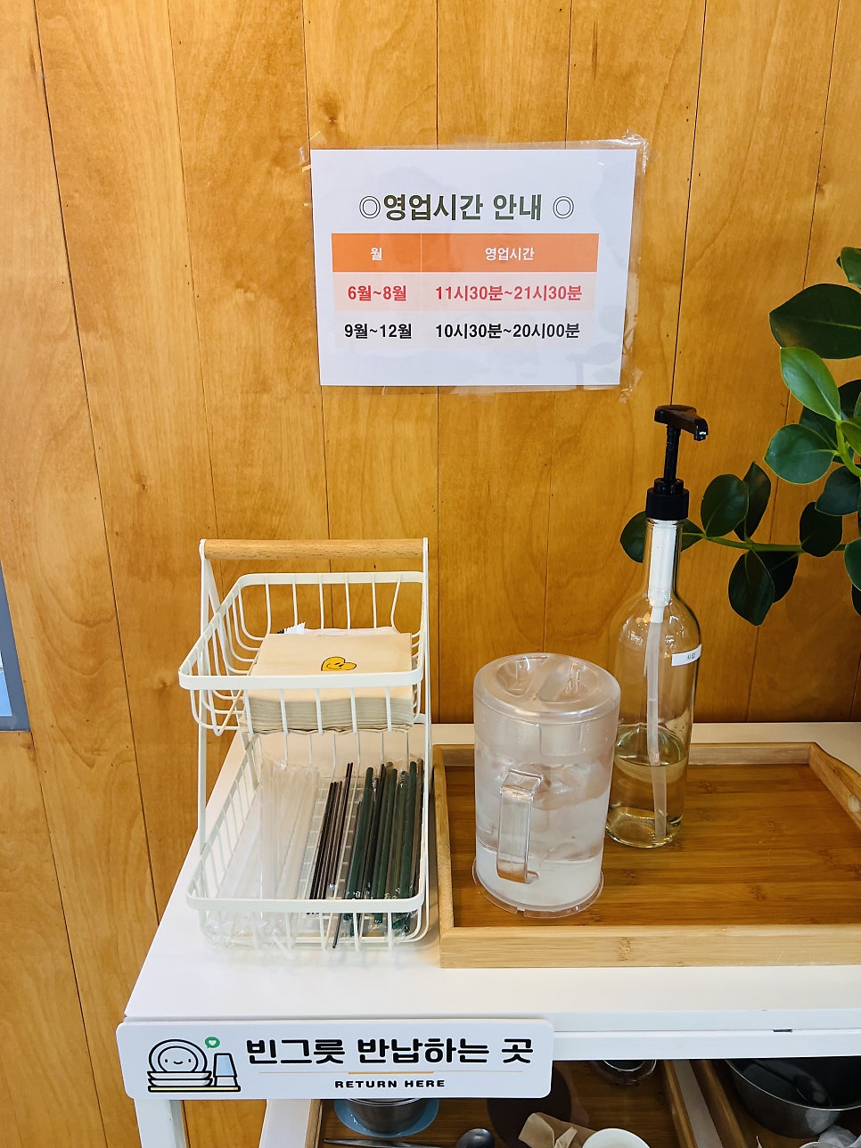 애플 사진 5