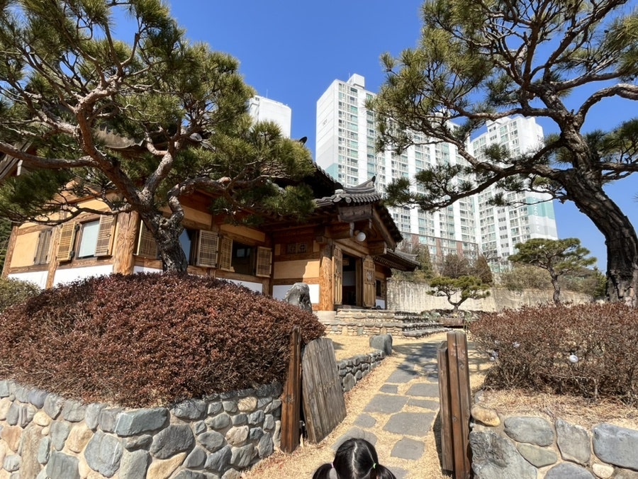 단안 사진 5
