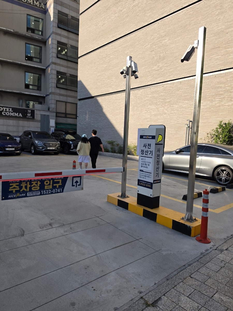 아리산 사진 2
