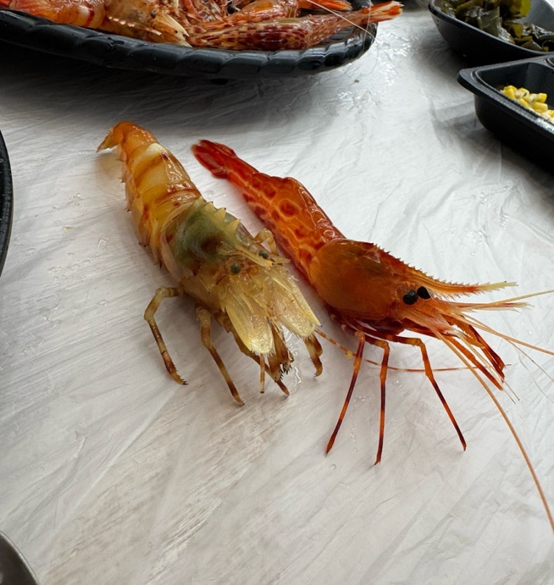 [울릉도 독도새우맛집] 울릉도 독도새우맛집 울릉가 생생후기